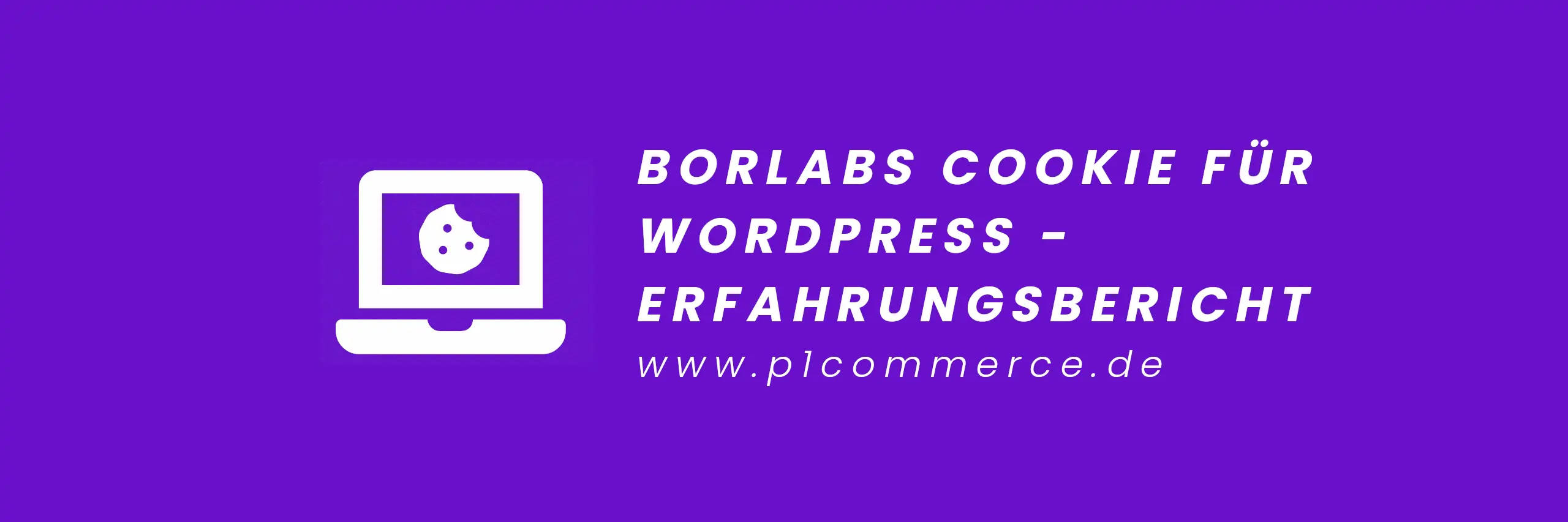 Borlabs Cookie WordPress Erfahrung und Übersicht